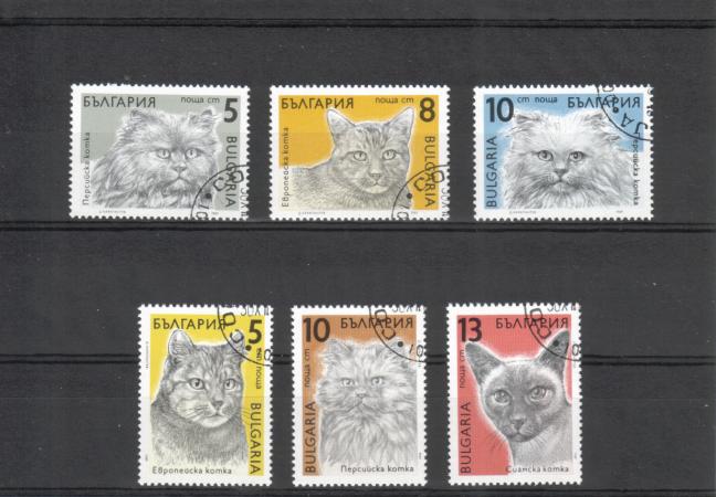 Bulgaria 1989 - Cats (6)