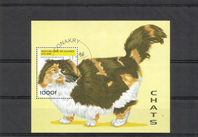 Guinea 1996 - Kissoja pienoisarkki Guinea 1996 - Kissoja pienoisarkki