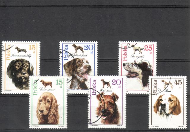 Poland 1989 - Dogs