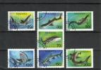 Tanzania 1993 - Sharks