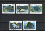 Kuuba 1992 - Fish Kuuba 1992 - Fish