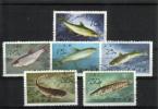 Korea P (DPRK) 1975 - Fresh-Water Fish Korea P (DPRK) 1975 - Fresh-Water Fish