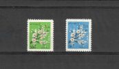 Iran 1964 - Kirsikkapuun kukkiva oksa Iran 1964 - Kirsikkapuun kukkiva oksa