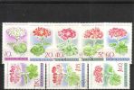 Romania 1968 - Pelargoniat Romania 1968 - Pelargoniat