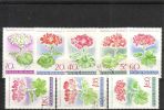 Romania 1968 - Pelargoniat