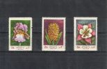 Iran 1973 - Flowers