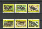 Guinea 1998 - Insects Guinea 1998 - Insects