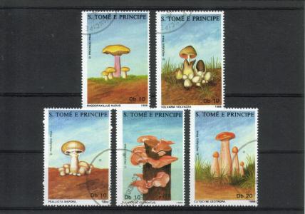 São Tomé and Príncipe 1988 - Mushrooms (5) São Tomé and Príncipe 1988 - Mushrooms (5)