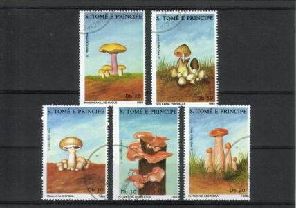 São Tomé and Príncipe 1988 - Mushrooms (5)