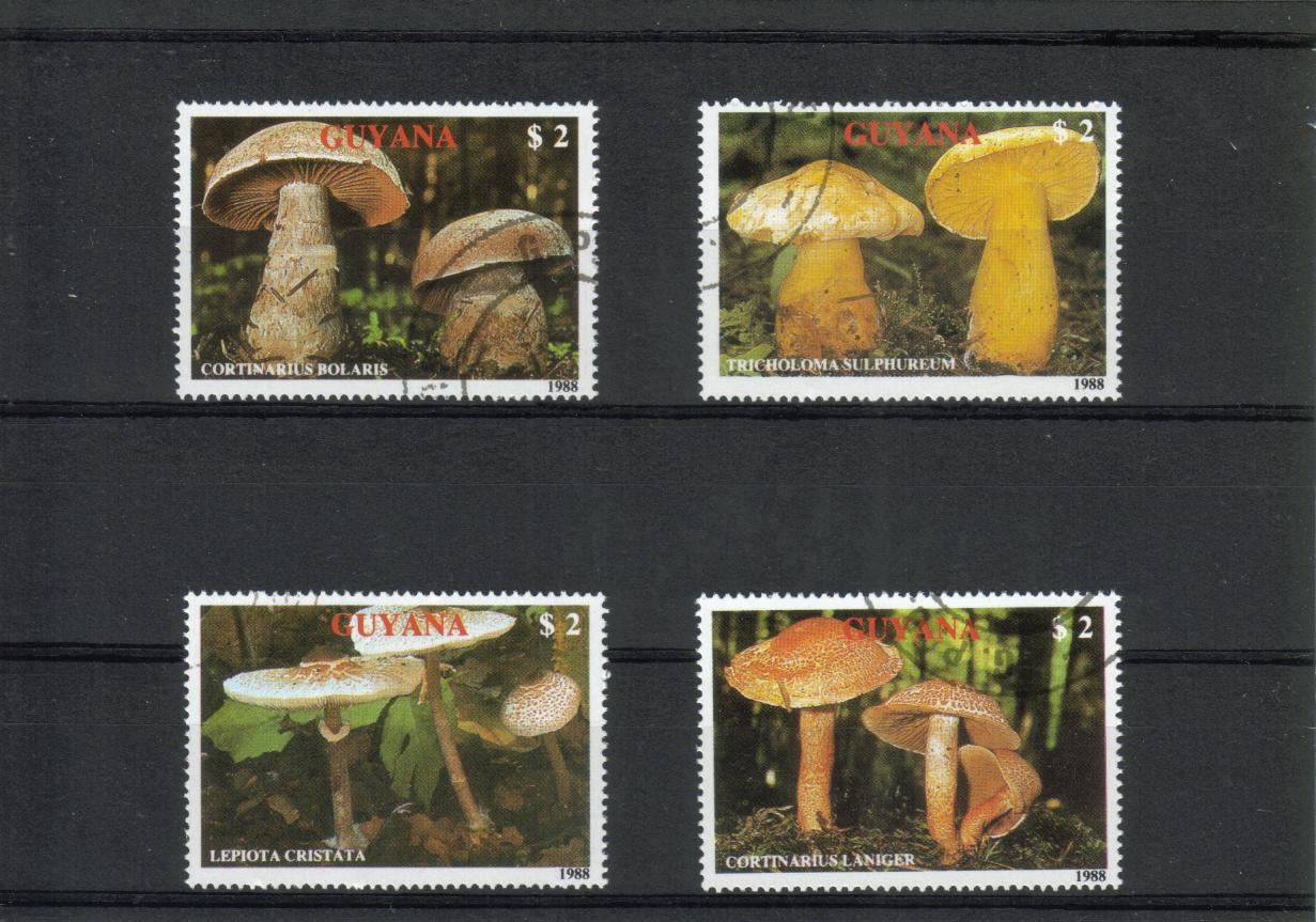 Guyana 1988 - Mushrooms (4) Guyana 1988 - Mushrooms (4)