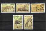 Sahara 1990 - Animals (5) Sahara 1990 - Animals (5)