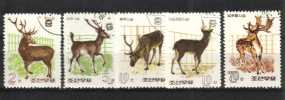 Korea P (DPRK) 1966 - Peuroja, hirvieläimiä Korea P (DPRK) 1966 - Peuroja, hirvieläimiä