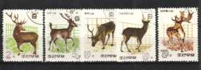 Korea N (DPRK) 1966 - Deers