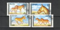 Mongolia 1988 - Onagers Mongolia 1988 - Onagers