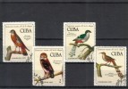 Kuuba 1971 - Lintuja Kuuba 1971 - Lintuja