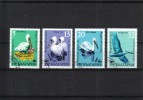 Bulgaria 1984 - Pelecanus crispus. WWF:n hyväksi