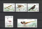 Sahara 1990 - Birds (5)