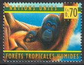 YK Geneve 1998 - World Health Organization (WHO) to protect the tropical rainforest YK Geneve 1998 - World Health Organization (WHO) to protect the tropical rainforest