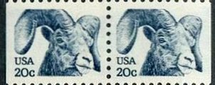 Bighorn Sheep pair three side perforated