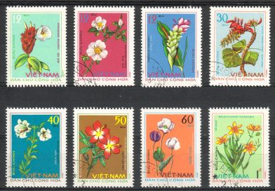 Vietnam 1975 - Medicinal plants (8) Vietnam 1975 - Medicinal plants (8)