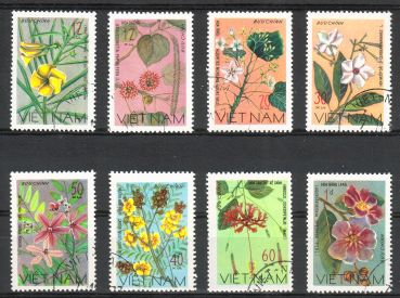 Vietnam 1977 - Wildflowers (8) Vietnam 1977 - Wildflowers (8)