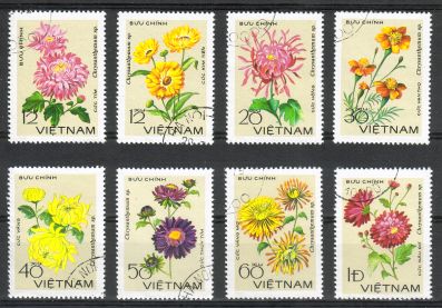 Vietnam 1978 - Chrysanthemums (8) Vietnam 1978 - Chrysanthemums (8)