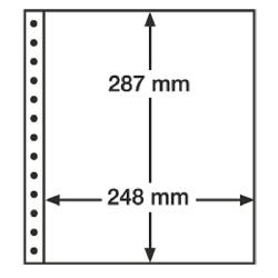 Leuchtturm R 1C, 1x 248 x 287 mm pocket, clear, 1 pc