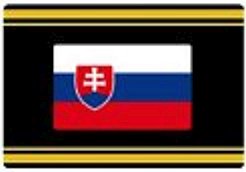 Slovakia Safe Signetten Country Flag